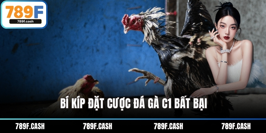 Bí kíp đặt cược Đá gà C1 bất bại