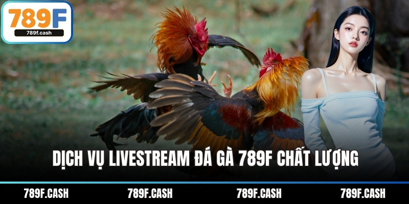 Dịch vụ livestream đá gà 789F chất lượng