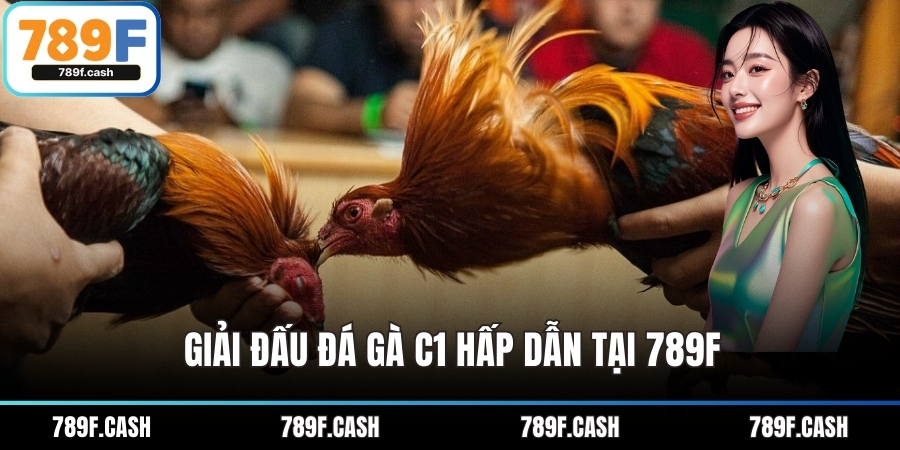 Giải đấu Đá gà C1 hấp dẫn tại 789F