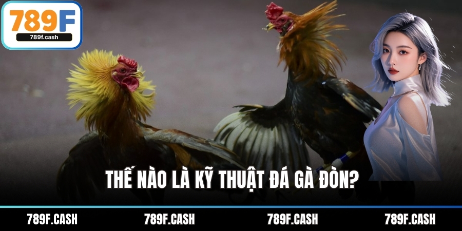 Thế nào là kỹ thuật đá gà đòn?